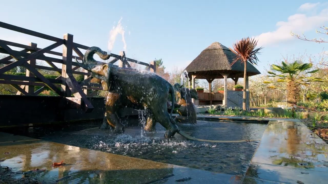 Hospitality Showreel YouTube thumbnail